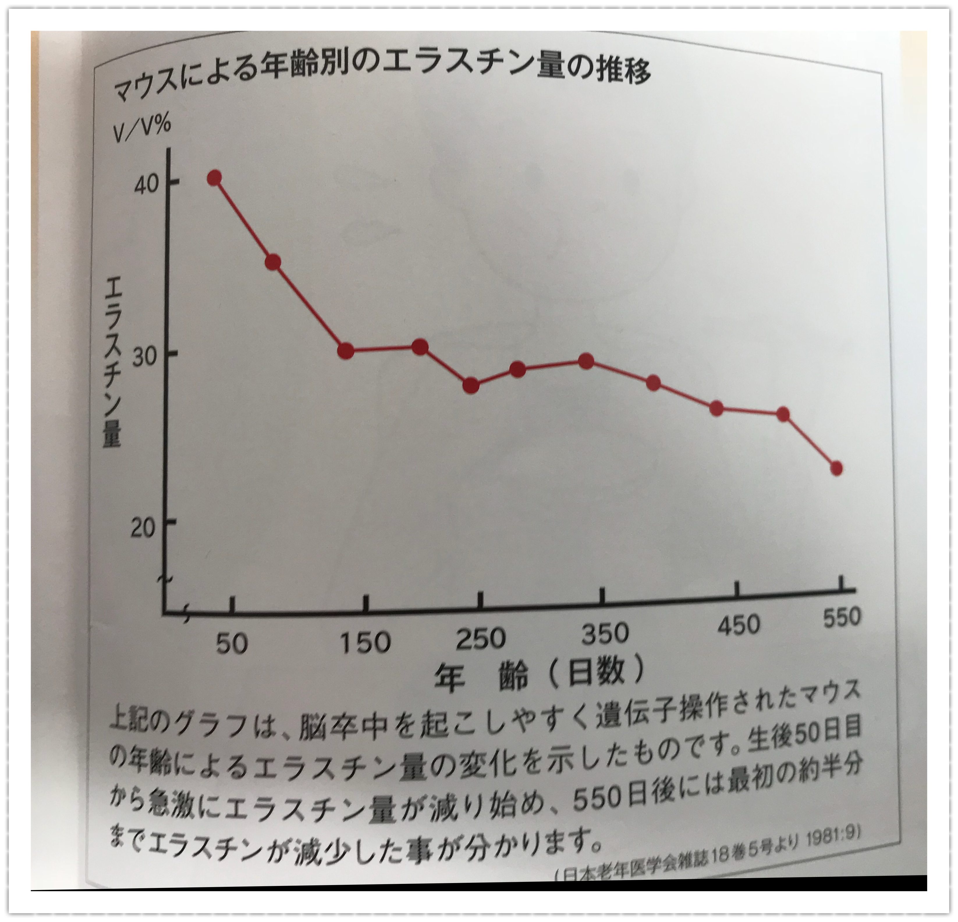 エラスチン量をマウスで実験