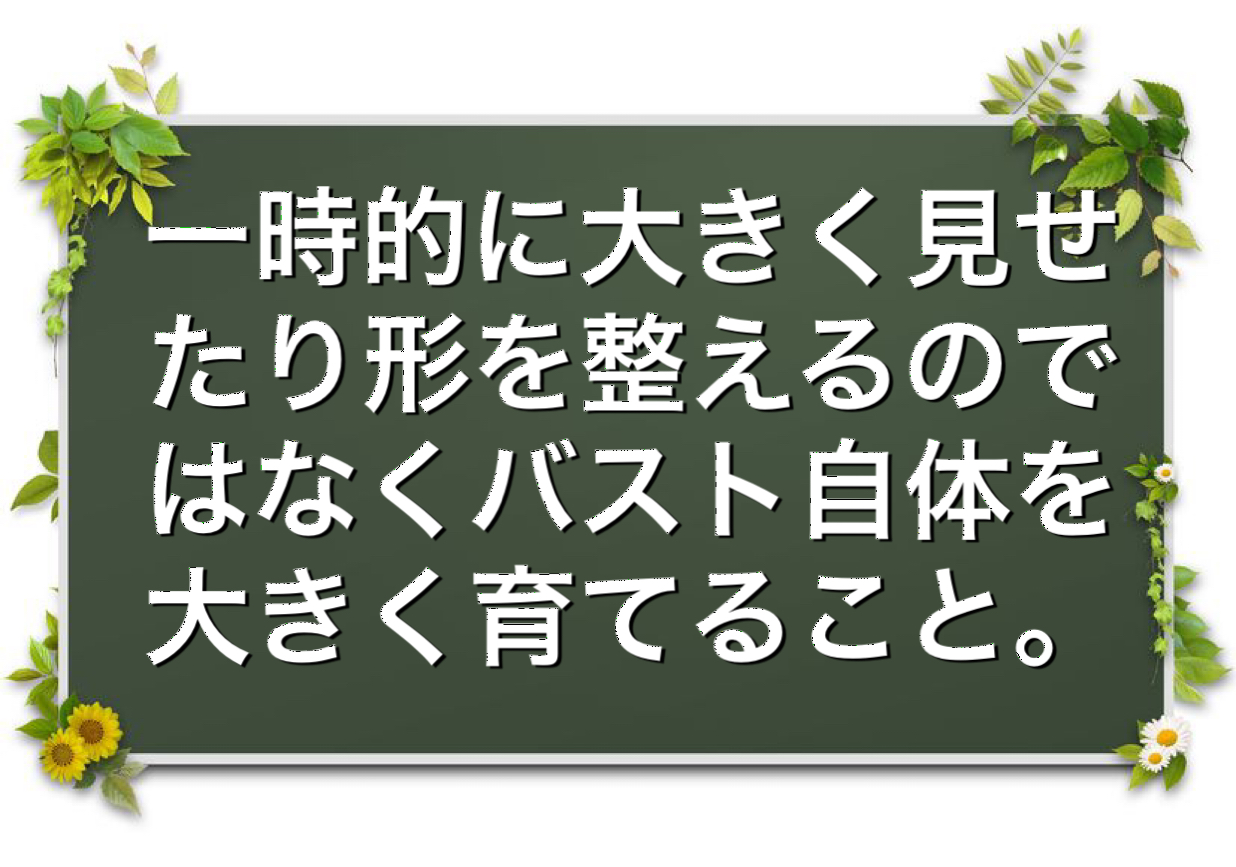 バストアップ　ブラ　日中